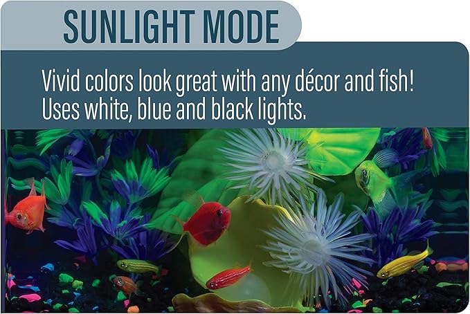 GloFish LED Light 5 Gallons, Blue and White LED Lights, for Aquariums Up to 5 Gallons, Model:29028 GloFish