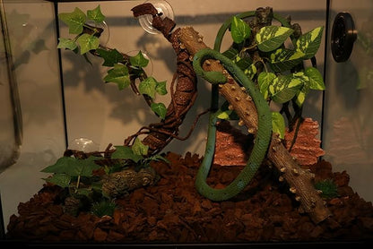 AQUA KT Reptile Climbing Corner Stick Branch Rain Forest Style for Snake Lizard Hermit Crab Bearded Dragon Terrarium Habitat Decoration AQUAKT