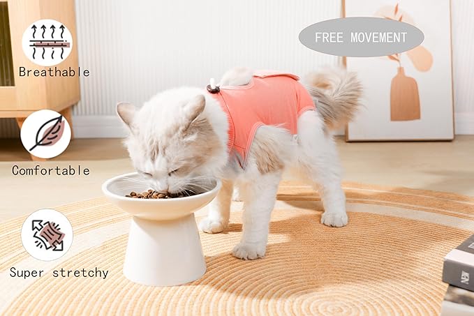 Cat Recovery Suit Female Kitten Cat Onesie for Cats After Surgery Female Spay Surgical Abdominal Wound Skin Diseases Cone Collar Soft Alternative Wear (Orange, L) Acoutpet