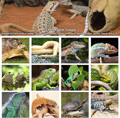 ZeeDix 10 Pieces Coconut Fiber Reptile Substrate Mat, 14 x 14 inches Natural Coco Coir Mat Turtle Bedding Tortoise Carpet Reptile Terrarium Liner for Lizard Snake Turtle Gecko Bearded Dragon ZeeDix