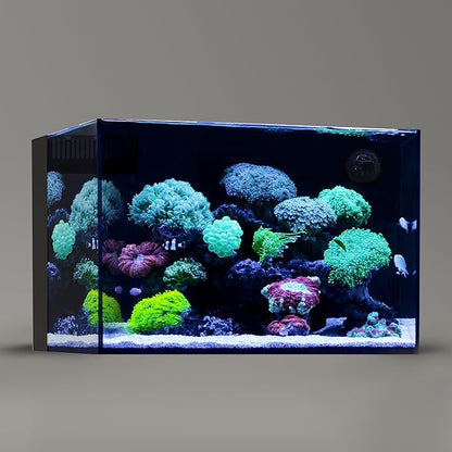 Landen 60P 26.23 Gallon Ultra Clear All Glass Rimless Low Iron Aquarium Tank with Rear Filtration Chamber for Salt and Fresh (Return Pump Included) 23.6Wx17.7Dx15.8H in(60x45x40cm) 8mm Thickness Landen