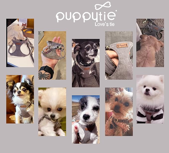 Puppytie No Pull XXS Puppy Harness with Multifunction Dog Leash,Soft Adjustable No Choke Escape Proof Pet Harness Vest,Silver Grey,XXS - PAWPICO