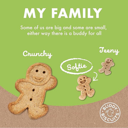 Buddy Biscuit Softies 5 oz Pouch, Soft & Chewy, Natural Roasted Chicken Flavor Dog Treats, Oven Baked in the USA - PAWPICO