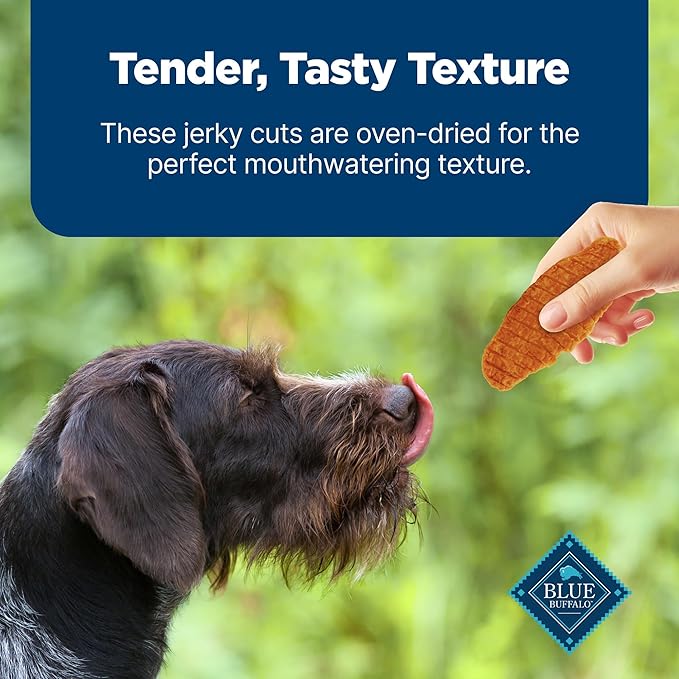 Blue Buffalo Nudges Jerky Cuts Dog Treats, Made in the USA with Natural Ingredients, Chicken & Duck, 16-oz Bag - PAWPICO