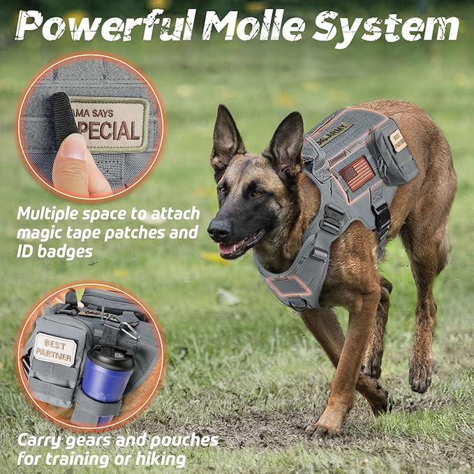 rabbitgoo Tactical Dog Harness Medium Sized, Heavy Duty Pet Harness with Handle, No-Pull Service Vest Medium Breed, Adjustable Military Dog Vest for Training Hunting Walking, Grey, M rabbitgoo