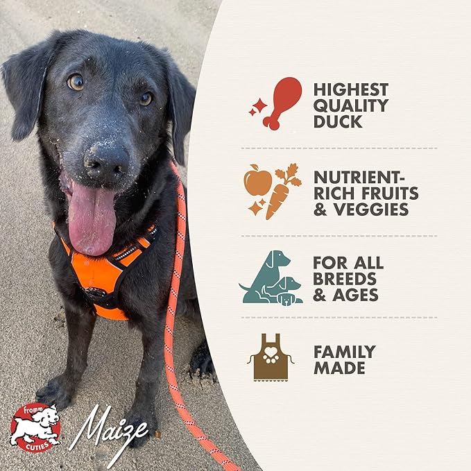 Fromm Four-Star Nutritionals Duck A La Veg Recipe Dog Food (12 lb.) - PAWPICO