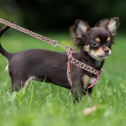 Mile High Life Dog Collar, Harness and Leash | Leopard Design | Perfect Accessory for Walking Your Dog - PAWPICO