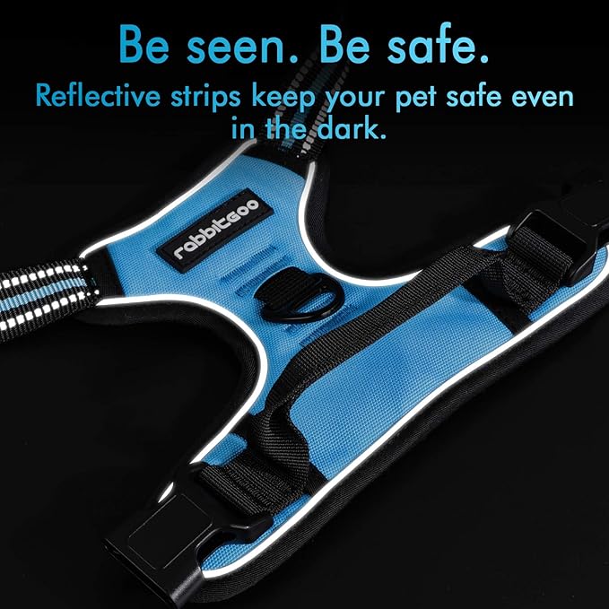 rabbitgoo Dog Harness, No-Pull Pet Harness with 2 Leash Clips, Adjustable Soft Padded Dog Vest, Reflective No-Choke Pet Oxford Vest with Easy Control Handle for Small Dogs, Blue, S - PAWPICO