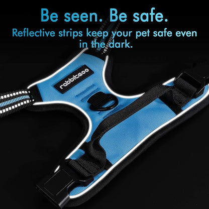 rabbitgoo Dog Harness, No-Pull Pet Harness with 2 Leash Clips, Adjustable Soft Padded Dog Vest, Reflective No-Choke Pet Oxford Vest with Easy Control Handle for Small Dogs, Blue, S - PAWPICO