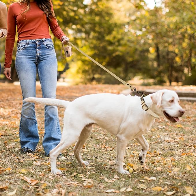 Wisedog Dog Collar and Leash Set Combo: Adjustable Pet Collars with Dog Leashes for Small Medium Large Dogs,includes 1 Bonus of Poop Bag Holder (XL(Collar:16"- 25.5";Leash:6 ft), Sand Color) WisedogPetSupplies