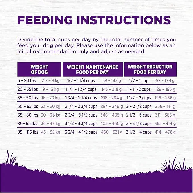 Wellness Complete Health Dry Dog Food, Healthy Weight Deboned Chicken & Peas Recipe, 24 Pound Bag - PAWPICO