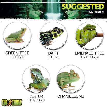 Exo Terra Mini Mister Spray Bottle, 16-Ounces ExoTerra