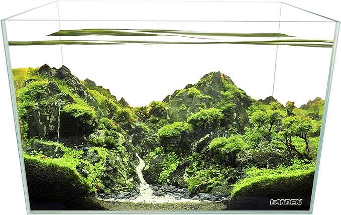 Landen 60H 30 Gallon Rimless Low Iron Aquarium Tank, 23.6" W × 17.7" D × 17.7" H (60cm x 45cm x 45cm) 8mm Thickness with Black Nano Foam Leveling mat Included Landen
