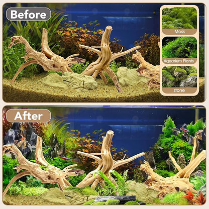 Natural Large Spiderwood Driftwood for Aquarium Decor Rptile Fish Tank Decoration Assort Branch 7-11'' 3 Pcs Jorewood