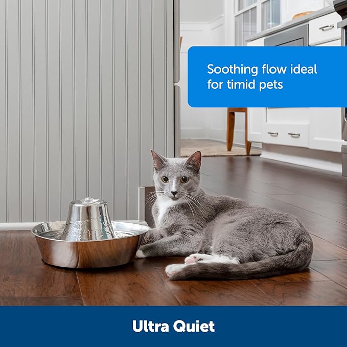 PetSafe Seaside Pet Water Fountain (60 oz/1.8L Water Capacity) Stainless Steel Cat Water Fountain, Helps Prevent Pet Acne, Scratch and Rust-Resistant Material - PAWPICO