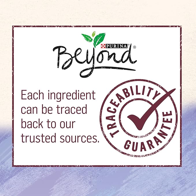 Purina Beyond High Protein, Grain Free, Natural Pate Wet Dog Food, WILD Turkey, Liver & Duck Recipe - (12) 13 oz. Cans - PAWPICO