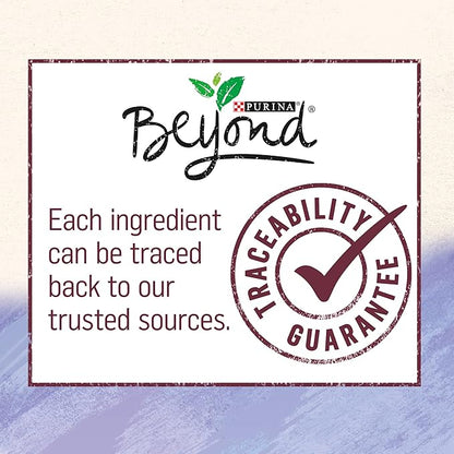 Purina Beyond High Protein, Grain Free, Natural Pate Wet Dog Food, WILD Turkey, Liver & Duck Recipe - (12) 13 oz. Cans - PAWPICO