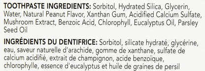 Petrodex Dental Care Kit for Dogs and Puppies, Cleans Teeth and Fights Bad Breath, Reduces Plaque and Tartar Formation, Enzymatic Tooth Brushing Kit, Peanut Flavor, 2.5oz Toothpaste + Toothbrush Petrodex