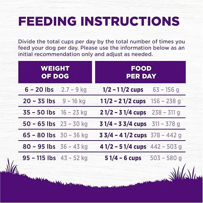 Wellness Complete Health Adult Dry Dog Food, Beef & Barley Recipe, 26 Pound Bag - PAWPICO