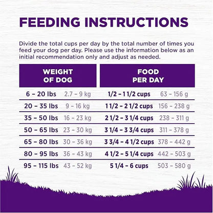 Wellness Complete Health Adult Dry Dog Food, Beef & Barley Recipe, 26 Pound Bag - PAWPICO