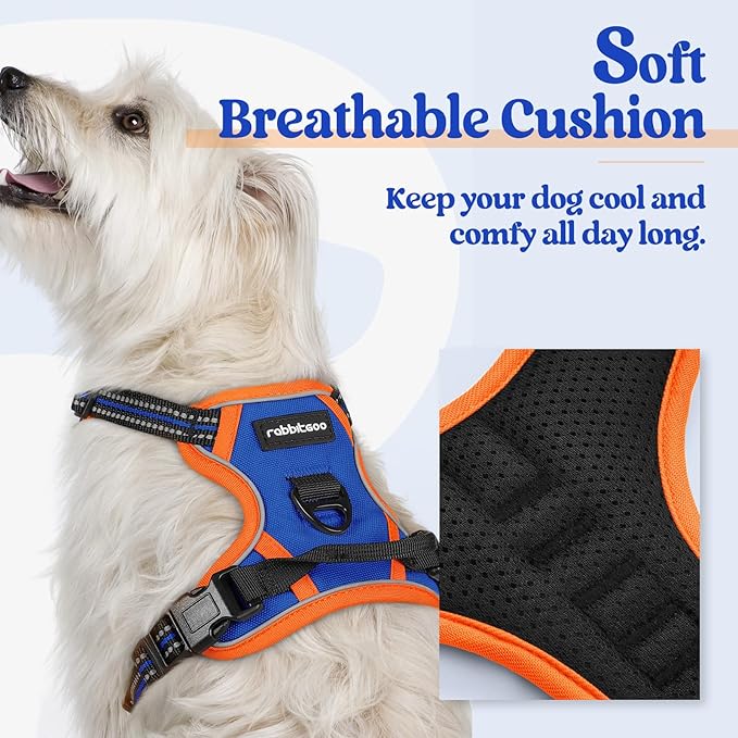 rabbitgoo Dog Harness No Pull with 2 Leash Clips, Adjustable Soft Padded, Reflective Oxford No Choke Pet Vest with Easy Control Handle for Puppy, Blue & Orange, XS rabbitgoo