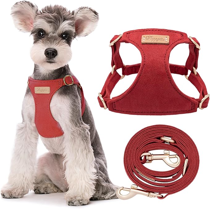 Puppytie No Pull Dog Harness with Multifunction Dog Leash,Soft Adjustable No Choke Escape Proof Pet Harness Vest for Medium Dogs or Large Dogs,red Hawthorn,M Puppytie