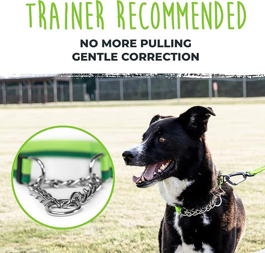 Mighty Paw Martingale Dog Collar 2.0 | Trainer Approved Limited Slip Collar with Stainless Steel Chain & Heavy Duty Buckle - Modified Cinch for Gentle & Effective Pet Training - Small, Green MightyPaw