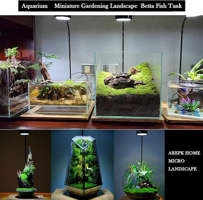Aquarium Light Full Spectrum LED, for Under 7 Gallon Fish Tank, Light with Timer Auto On/Off, Betta Fish Tank,Indoor Plant Growth, Potted Plants, Succulent, Miniature Gardening Landscape (9) AREPK