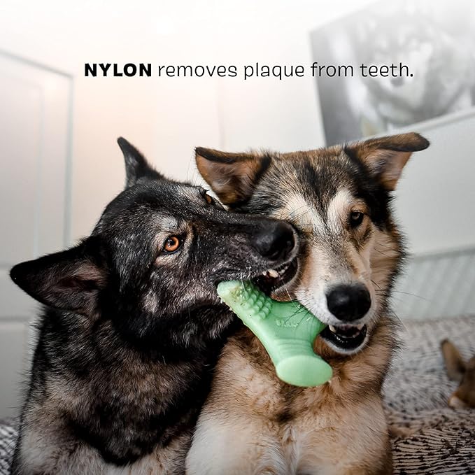 Barkbox Super Chewer Tough Dog Chew Toys for Aggressive Chewers, Dental Stimulating (Chopper - Large) - PAWPICO