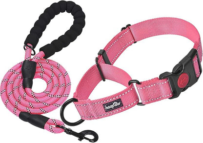 haapaw 2 Packs Martingale Dog Collar with Quick Release Buckle Reflective Dog Training Collars for Small Medium Large Dogs haapaw