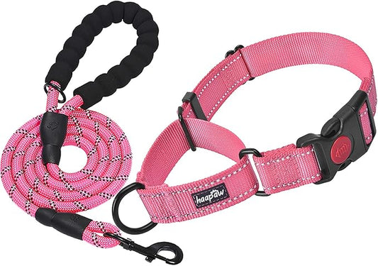 haapaw 2 Packs Martingale Dog Collar with Quick Release Buckle Reflective Dog Training Collars for Small Medium Large Dogs haapaw