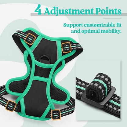 rabbitgoo Dog Harness No Pull with 2 Leash Clips, Adjustable Soft Padded, Reflective Oxford No Choke Pet Vest with Easy Control Handle for Puppy, Black & Turquoise, XS rabbitgoo