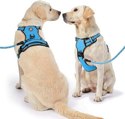 NESTROAD No Pull Dog Vest Harness with Leash, Adjustable Reflective Oxford Pet Harness with Easy Control Handle for Small Dogs, Blue NESTROAD