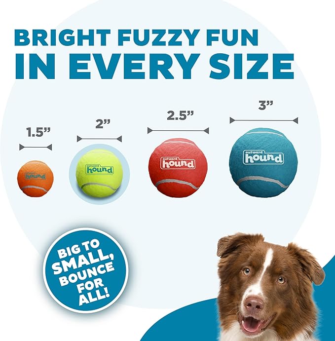 Outward Hound Squeaker Ballz Fetch Dog Toy, Small- 4 Pack - PAWPICO