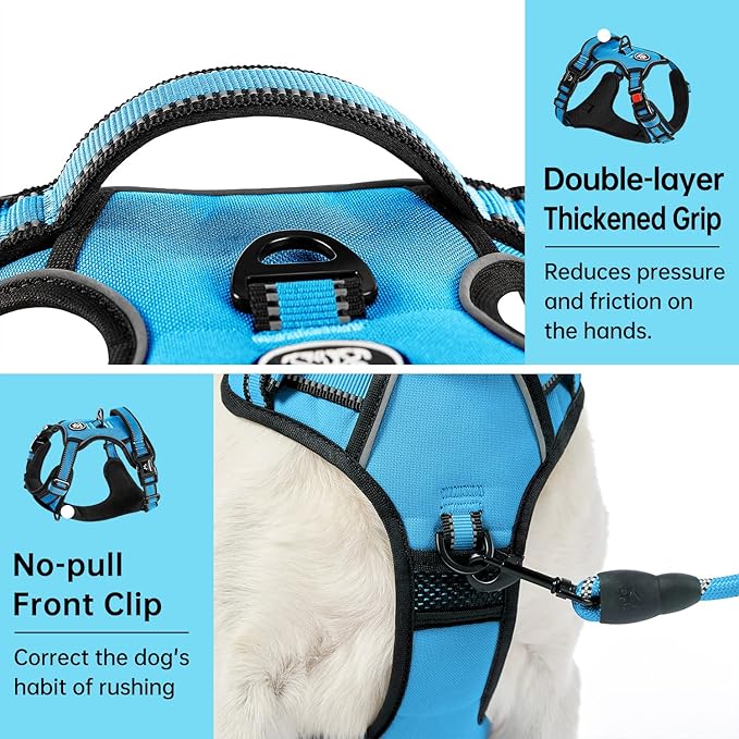 IVY&LANE No Pull Dog Harness for Large Dogs, Dog Vest Harness with Leash, Safety Belt and Storage Strap, Fully Adjustable Harness, 360° Reflective Strip, Soft Handle (Blue, L) IVYLANE