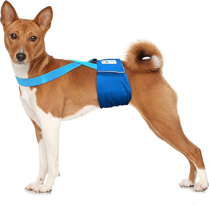 Paw Inspired Dog Diaper Suspenders with Velcro Fasteners | Stretchy Adjustable Suspenders for Female and Male Disposable and Washable Diapers | Fits Small, Medium and Large Size Pets (S/M, Blue) - PAWPICO