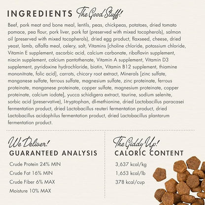 Fromm Heartland Gold Adult Premium Dry Dog Food - Beef Recipe - 26 lb - PAWPICO