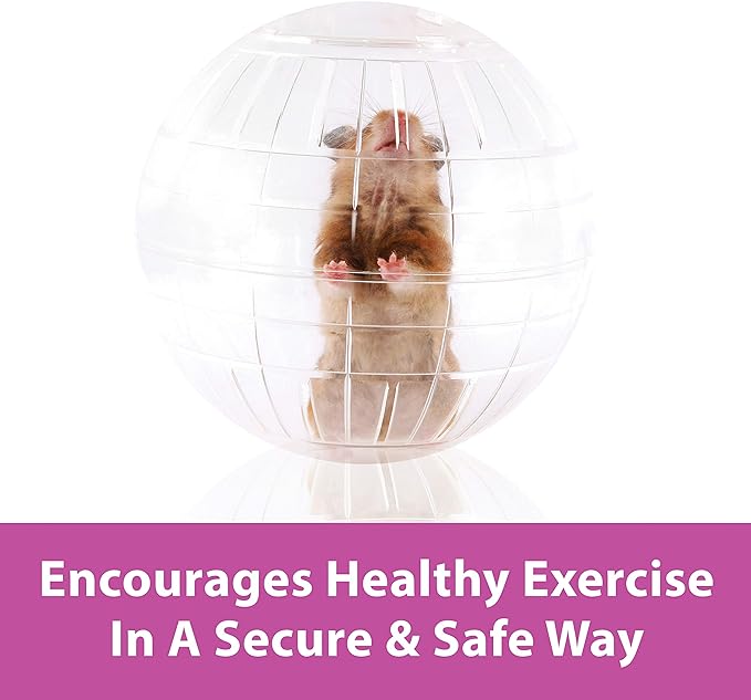 Kaytee 13" Clear Run-About Exercise Ball For Pet Rats & Chinchillas Kaytee