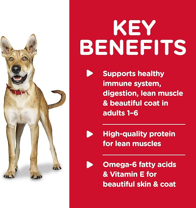 Hill's Science Diet Adult 1-6, Adult 1-6 Premium Nutrition, Wet Dog Food, Beef & Barley Loaf, 13 oz Can, Case of 12 - PAWPICO