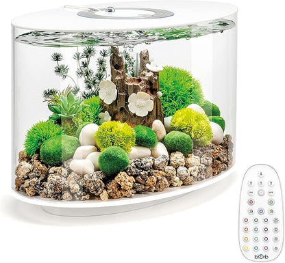 biOrb Loop 15 Acrylic 4-Gallon Aquarium with Multi-Color Remote-Controlled LED Lights Modern Compact Tank for Tabletop or Desktop Display, White-Trimmed Tank biOrb