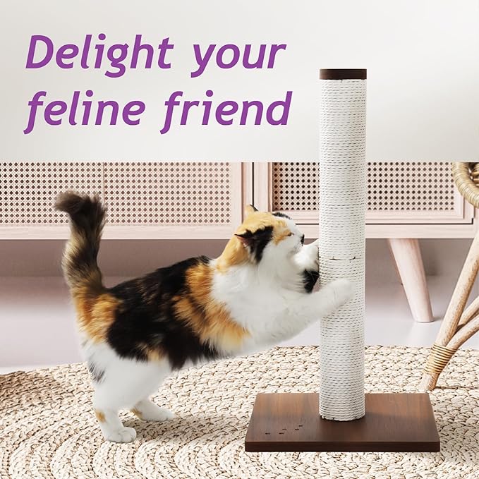 Necoichi 23.6” Tall Cat Scratching Post Kitten Scratcher Paper Rope Scratch Posts Trees with Hanging for Indoor Cats (23.6 inches for Kitty, Regular, Dark Cherry) - PAWPICO
