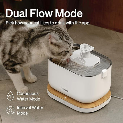PETLIBRO App Monitoring Cat Water Fountain, 2.5L/84oz Dockstream Pet Water Fountains for Cats Indoor, Automatic Cat Water Dispenser for Drinking with 2.4G Wi-Fi, Smart Fountain, Stainless Steel Tray - PAWPICO