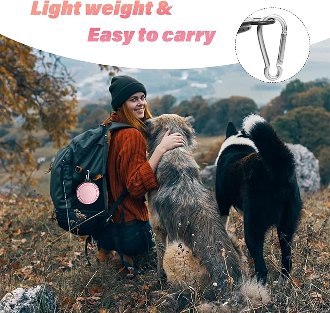 Dog Bowl Pet Collapsible Bowls, 2 Pack Collapsible Dog Water Bowls for Cats Dogs, Portable Pet Feeding Watering Dish for Walking Parking Traveling with 2 Carabiners (Small, Fairy Pink+Sprout Green) - PAWPICO