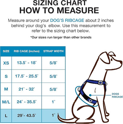 Blue-9 Buckle-Neck Balance Harness, Fully Customizable Fit No-Pull Harness, Ideal for Dog Training and Obedience, Made in The USA, Orange, Large Blue-9