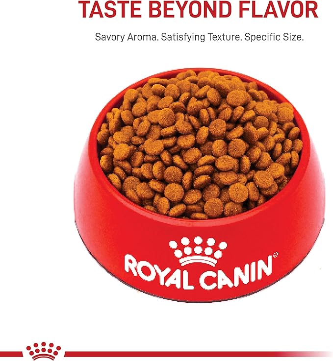 Royal Canin Size Health Nutrition Dry Large Breed Puppy Food, Supports Brain Development, Immune Support and Digestive Health, 30 lb Bag - PAWPICO