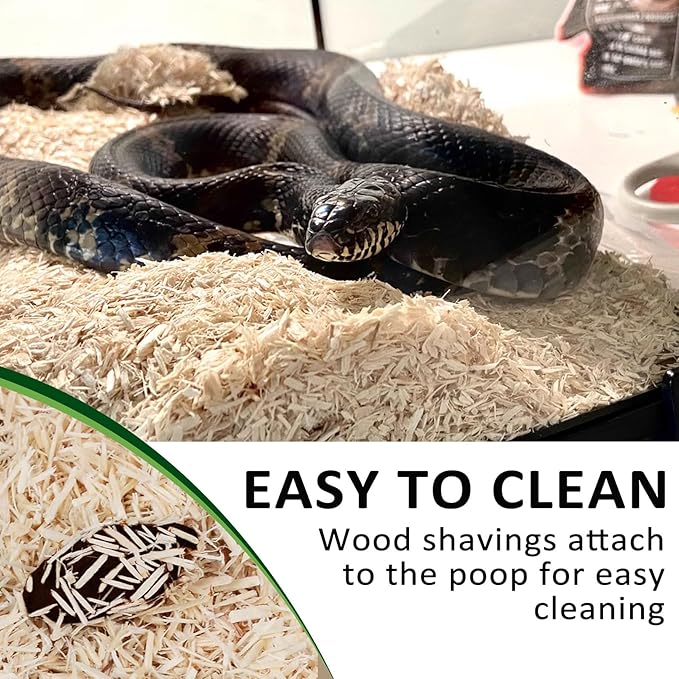 BNOSDM Aspen Snake Bedding,Corn Snake Substrate,Reptile Forest Floor Bedding,Amphibian Tank Substrate,Aspen Shavings Bedding for Ball Python,Lizard,Tortoise,Hamster,4 Quart BNOSDM
