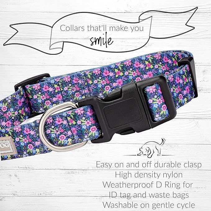 Lucky Love Dog, Comfortable, Soft, Cute Female Dog Collar for Medium Dogs, Black & Purple Floral Print, Adjustable Nylon Collar, Primrose, Medium LuckyLoveDog