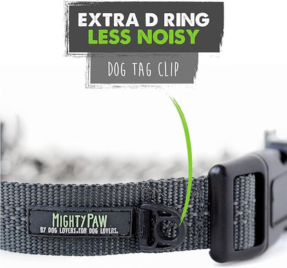 Mighty Paw Martingale Dog Collar 2.0 | Trainer Approved Limited Slip Collar with Stainless Steel Chain & Heavy Duty Buckle - Modified Cinch Collar for Gentle & Effective Pet Training - Small, Grey MightyPaw