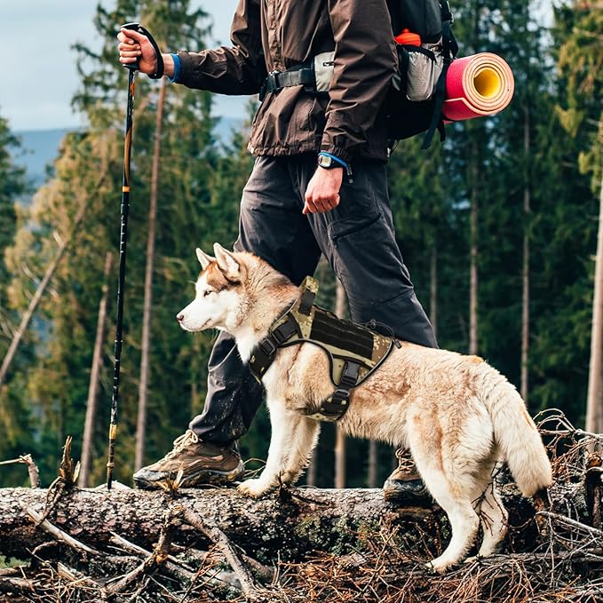 WINGOIN Tactical Dog Harness for Extra Large Dogs, Heavy Duty No Pull Dog Harness with Handle, Adjustable Reflective Military K9 German Shepherd Big Size Dog Vest for Training, Walking, Camo (XL) - PAWPICO