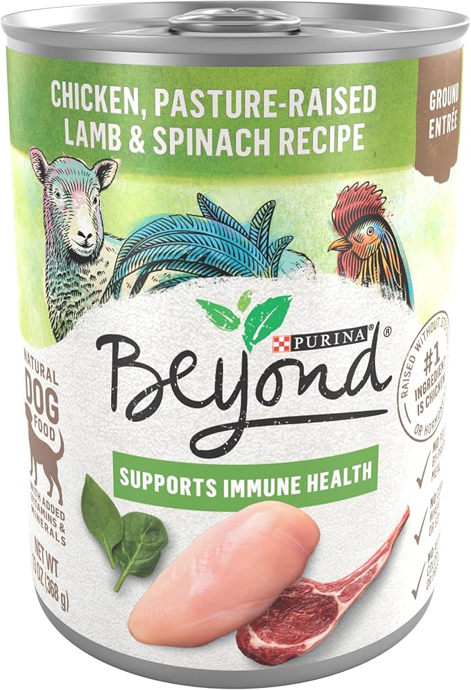 Purina Beyond Grain Free, Natural Pate Wet Dog Food, Grain Free Chicken, Lamb & Spinach Recipe - (12) 13 oz. Cans - PAWPICO
